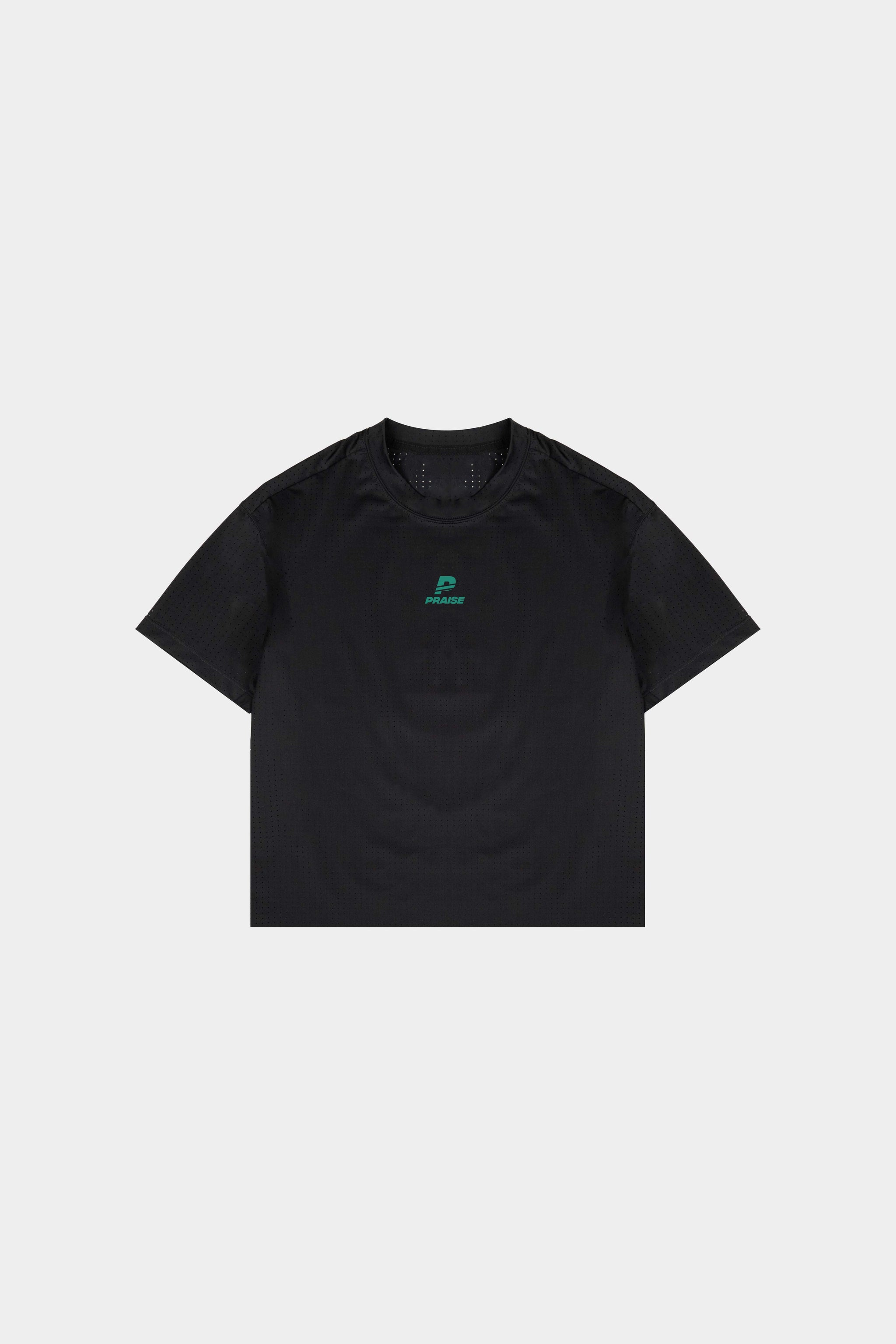 Unisex Midweight Mesh Cropped T-Shirt - JERICHO – PRAISE ENDURANCE